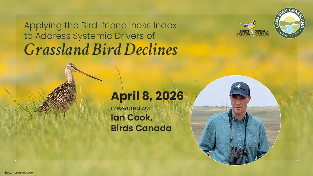 Applying the Bird-friendliness Index to Address Systemic Drivers of Grassland Bird Declines